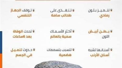 صحة سوهاج تحذر المواطنين من شراء وتناول سمكة الأرنب السامة