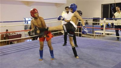 ما لا تعرفه عن الكيك بوكسينج أكبر منافس للملاكمة (فيديو)