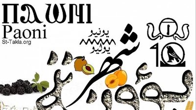 بؤونة فلق الحجر.. أشهر الأمثال المرتبطة بشهر بؤونة 