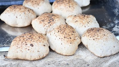 قنا|بدء تطبيق منظومة الخبر الجديدة والمحافظ يتأكد من الجودة 