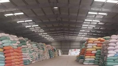 محافظ دمياط تتابع عملية توريد محصول القمح 