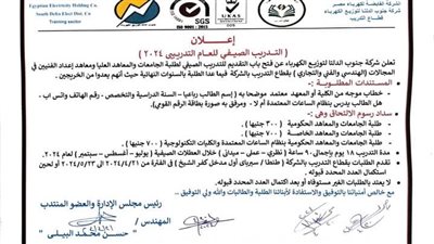 جنوب الدلتا لتوزيع الكهرباء تعلن فتح باب التقديم للتدريب الصيفي