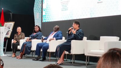 نميرة نجم: يجب التعامل مع تعقيدات الذكاء الاصطناعي لضمان بقائه