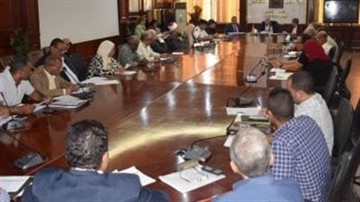 الأقصر تناقش نتائج المسح الصحي للسكان 