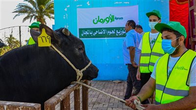 مبادرة جديدة لتوزيع أكبر كمية من اللحوم على الأسر الأولى بالرعاية بأسيوط