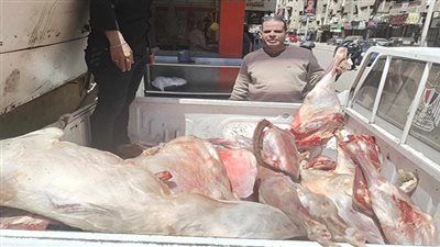ضبط 20 طن مصنعات لحوم وهياكل دواجن فاسدة بالجيزة