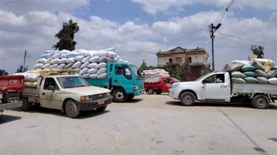 شون وصوامع الشرقية تستقبل 603 ألف طن قمح منذ بدء موسم التوريد