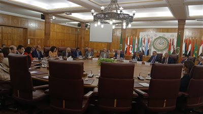 مصر تؤكد موقفها برفض تهجير الفلسطينيين من أراضيهم ومحاولات تصفية القضية