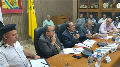 شمال سيناء تستعد لتطوير وتعزيز هويتها البصرية