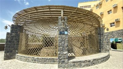 عين من عيون الجنة يغفل عنها الكثيرون.. فرصة اغتنمها في موسم الحج 