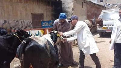 قافلة طبية علاجية بيطرية بقرية الحلمية في الشرقية 