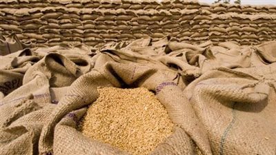  جنوب سيناء: توريد 125 طن قمح لمطاحن الطارق 