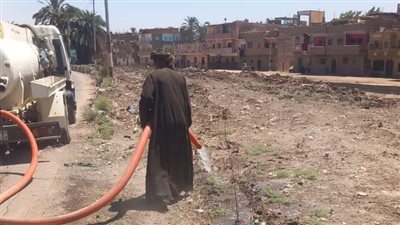 رئيس مدينة قوص يوجه بمتابعة حالة الأشجار بطريق مصر- أسوان الزراعي