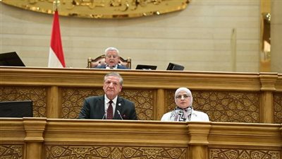 رئيس خطة النواب يعرض تقرير خطة التنمية الاقتصادية والاجتماعية على الجلسة العامة