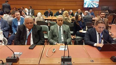 د. حسن شحاتة يشاركُ في اجتماعِ المجموعةِ العربيةِ في مؤتمرِ العملِ الدوليِ بجنيف