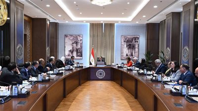مدبولي يشيد بانخفاض معدلات النمو السكاني والمواليد