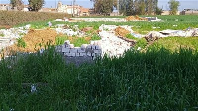 طقس شديد الحرارة بقري ومدن محافظة البحيرة 