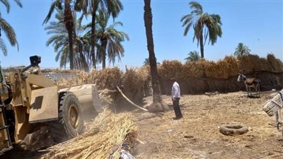 إزالة 4 حالات تعد علىالأراضي الزراعية بقرية أبو دياب في قنا