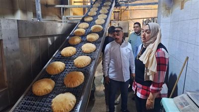 تحرير 288 محضر تمويني وضبط 47 شيكارة دقيق بلدي في المنوفية