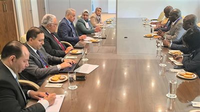  وزير العمل يلتقى نظيرة الزيمبابوي لبحث الملفات المشتركة 