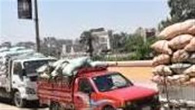 شون وصوامع المنيا تستقبل  352 ألف طن قمح