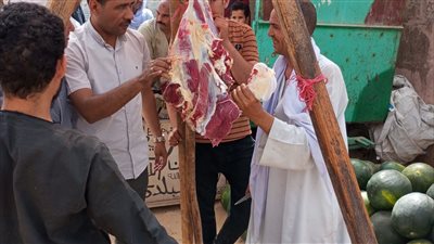 حملات تفتيشية رقابية لضبط الأسواق والأسعار بالمنيا