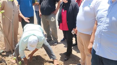 رفع  780 طن قمامة بالمنطقة المركزية بالدقهلية