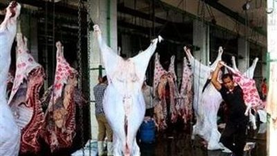 بيطري الدقهلية: ذبح الأضاحي في المجازر بالمجان 