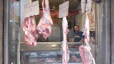 تموين الإسكندرية: رفع درجة الاستعداد القصوي تزامنا مع عيد الأضحى 