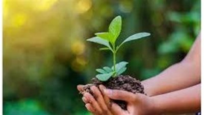 أبرز المعلومات عن اليوم العالمي للبيئة 