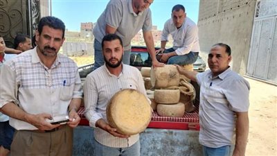 ضبط طن جبنه رومى غير صالح للاستهلاك الآدمى في البحيرة
