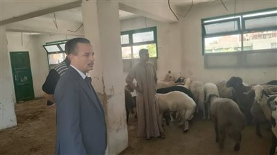 فتح مجازر البحر الأحمر بالمجان خلال أيام عيد الأضحى المبارك 