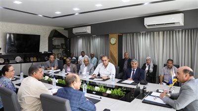  أسوان تضع آلية مع الهيئة العامة للسد العالى لتحديد جهات ولاية الأراضى