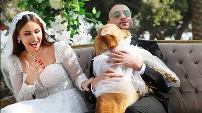 فيلم بنقدر ظروفك يحصد إيرادات متوسطة بشباك التذاكر أمس