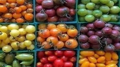 مصادر ألوان الطماطم وخصائصها الغذائية