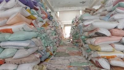 توريد 684 طن قمح بشون وصوامع سوهاج