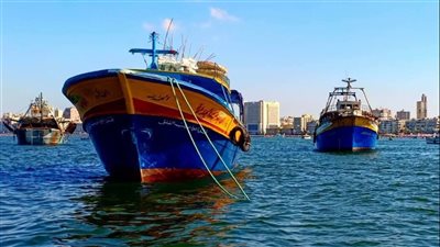 لجنه دولية تناقش مخاطر التسونامى على الإسكندرية 