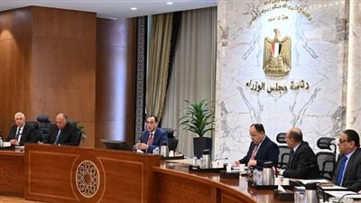 وزير الطيران للجنة العلاقات المصرية الإفريقية: الاهتمام بزيادة خطوط الطيران لدول القارة