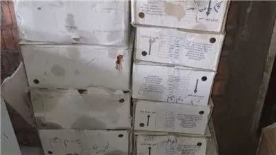 ضبط طن ونصف جبن وسمنة منتهية الصلاحية في الأقصر