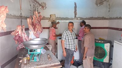 تحرير 30 محضرًا تموينيًا لمخالفات بالمخابز والأسواق في الأقصر