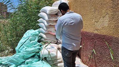 مراقبة الأغذية تكثف حملاتها بالمرور على 199 منشأة بالدقهلية