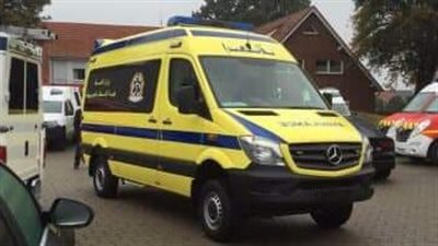 شاب مختل عقلياً يقتل والدته بدار رماد في الفيوم 