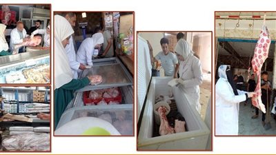 ضبط طن لحوم وكبدة و دواجن مجمدة خلال حملات تفتيشية بالشرقية 