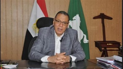 محافظ الشرقية يتابع أعمال الرصف والتطوير الجارية بالشوارع الداخلية في مراكز والمدن