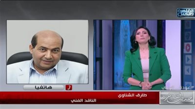 ناقد فني: 