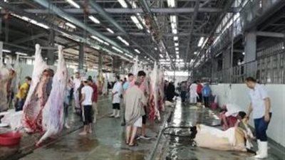 القصير يوجه بإلغاء جميع الإجازات للأطباء البيطريين والعاملين بالمجازر