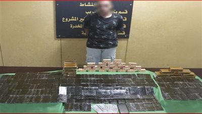 ضبط عنصر إجرامي بالجيزة وبحوزته 30 كيلو حشيش 