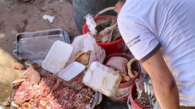  إحالة 569 مخالفة تموينية للنيابة العامة بالدقهلية