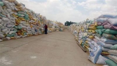 توريد 605 ألف طن قمح لصوامع وشون الشرقية 