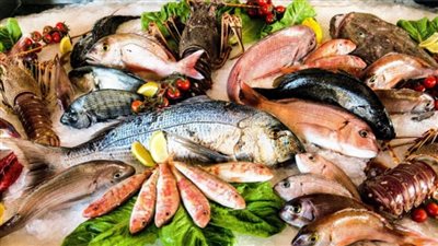 أسعار السمك بتعاملات اليوم الأربعاء بسوق العبور للجملة.. والجمبري يرتفع